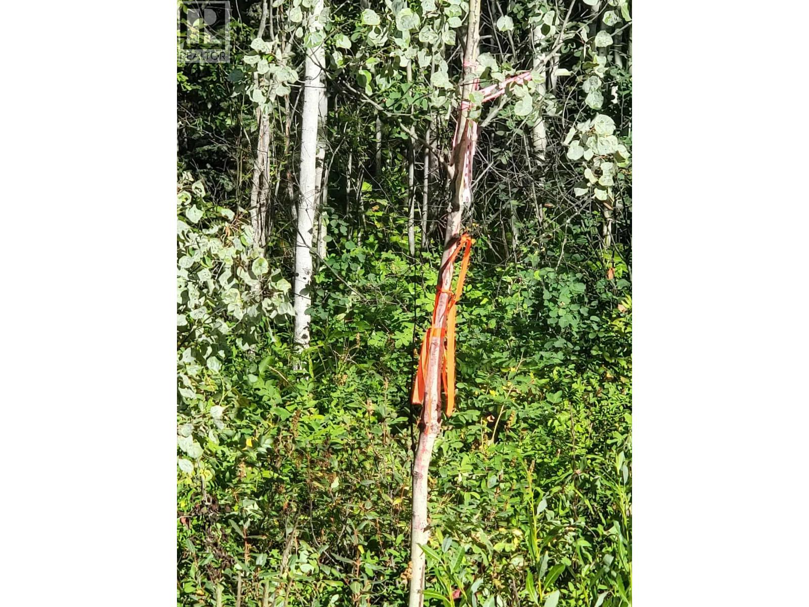 Lot 26 Hibiscus Road, Fort St. James, British Columbia  V0J 1P0 - Photo 7 - R3036614