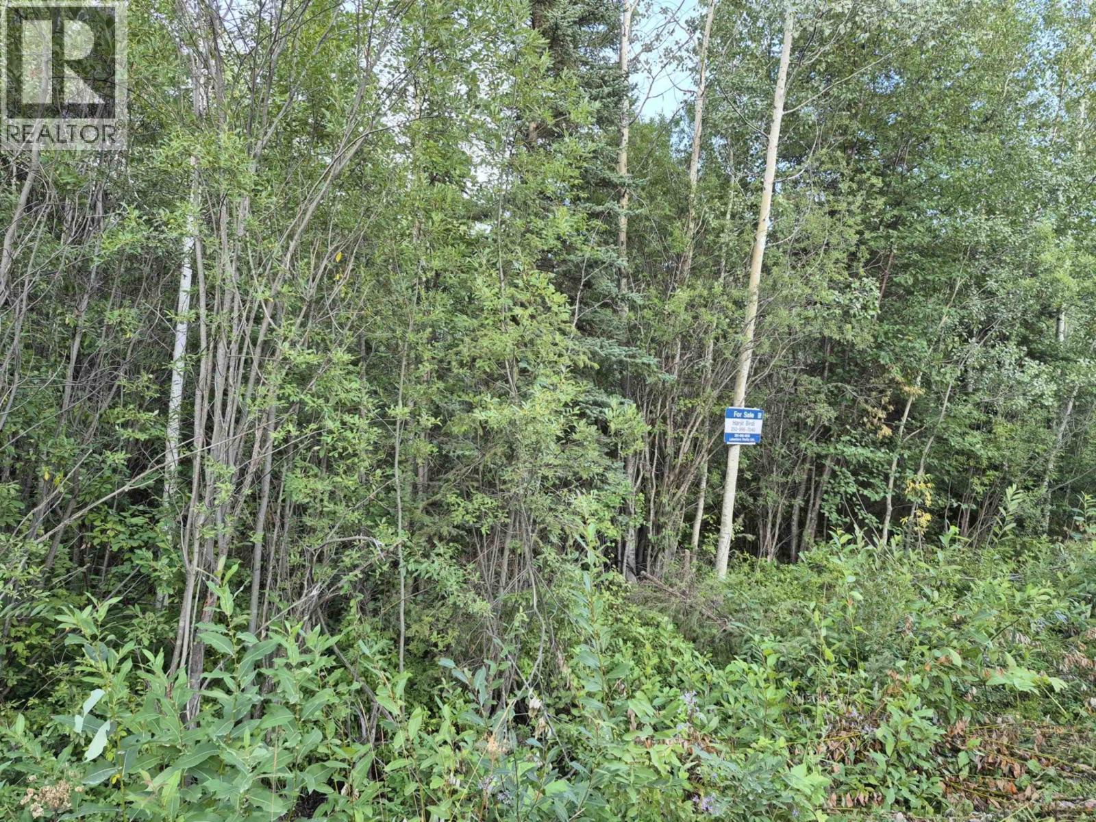 Lot 26 Hibiscus Road, Fort St. James, British Columbia  V0J 1P0 - Photo 10 - R3036614