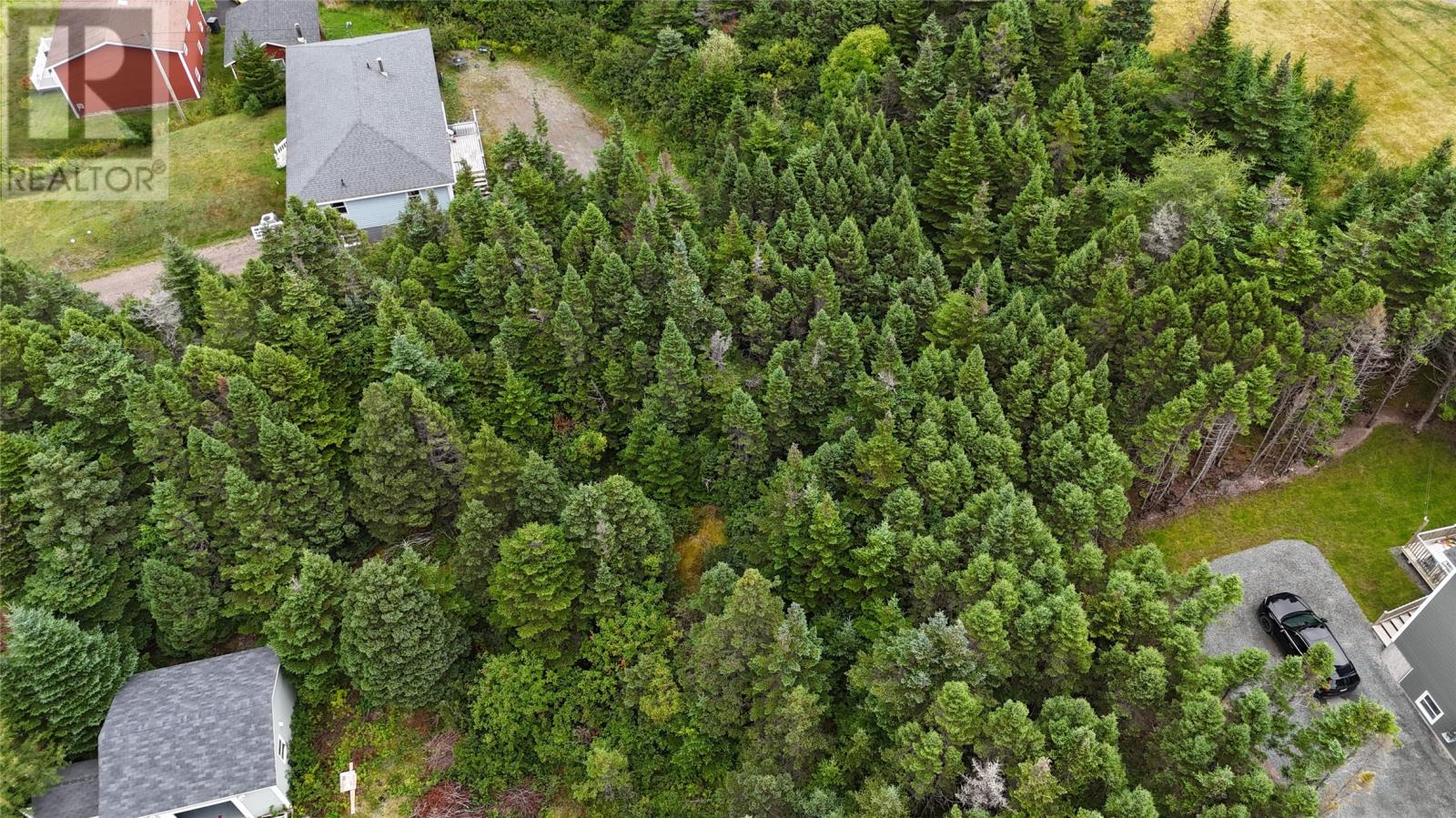 28a Marine Drive, Marystown, Newfoundland & Labrador  A0E 2M0 - Photo 4 - 1289797