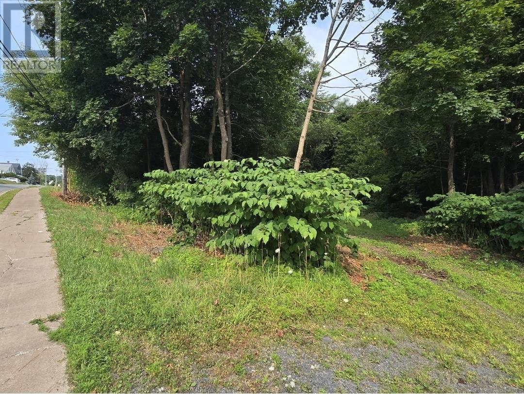 23 Munroe Avenue, New Glasgow, Nova Scotia  B2H 2C8 - Photo 3 - 202520021