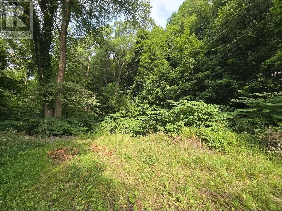 23 Munroe Avenue, New Glasgow, Nova Scotia  B2H 2C8 - Photo 5 - 202520021