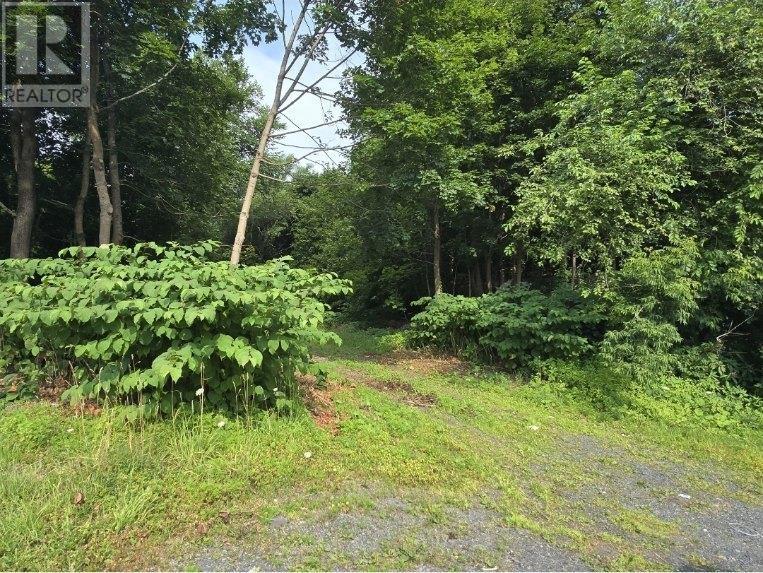 23 Munroe Avenue, New Glasgow, Nova Scotia  B2H 2C8 - Photo 4 - 202520021