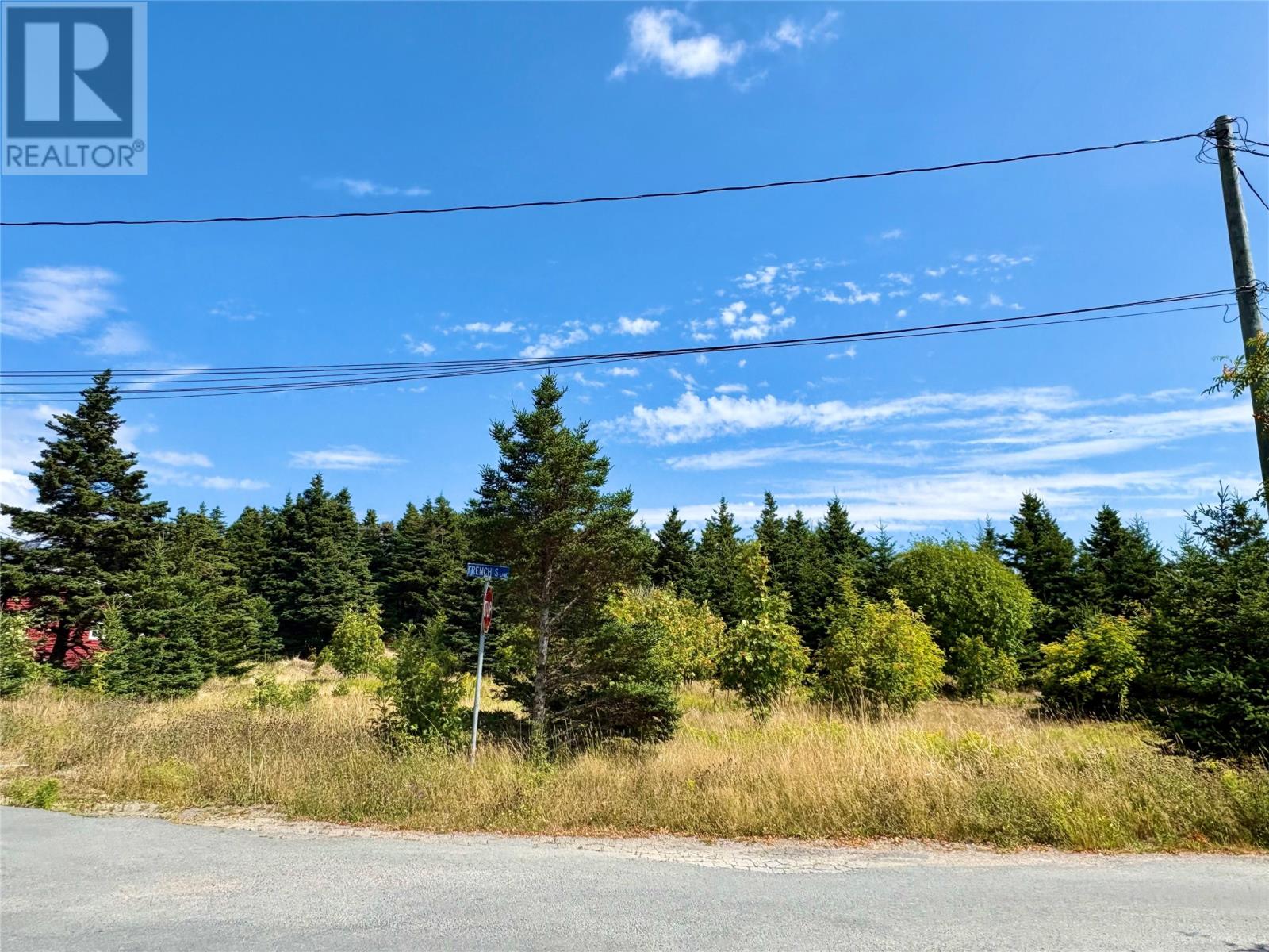 792 Water Street, Bay Roberts, Newfoundland & Labrador  A0A 1G0 - Photo 7 - 1289341