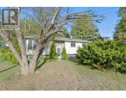 45 MAPLEWOOD AVENUE, Brighton, Ontario