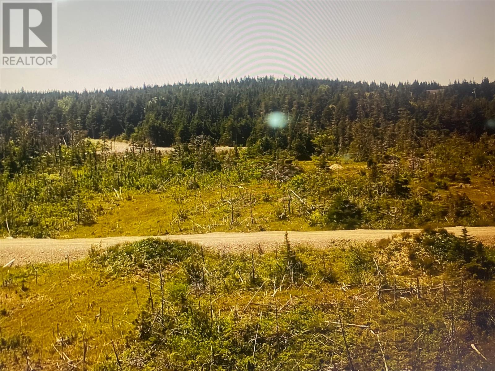 44 Main Road, Port Au Port West, Newfoundland & Labrador  A0N 1T0 - Photo 14 - 1289718