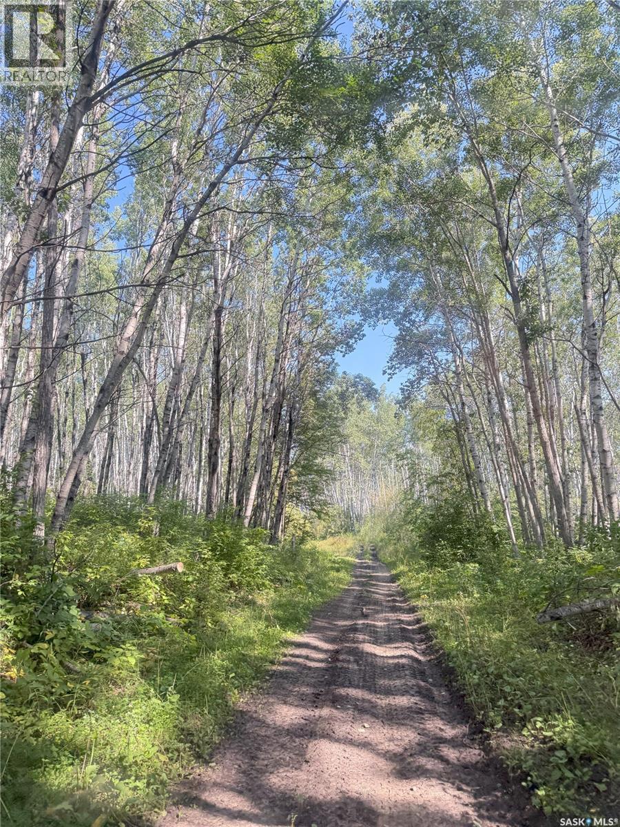 Bellows Recreation Property, Clayton Rm No. 333, Saskatchewan  S0A 2V0 - Photo 11 - SK016959