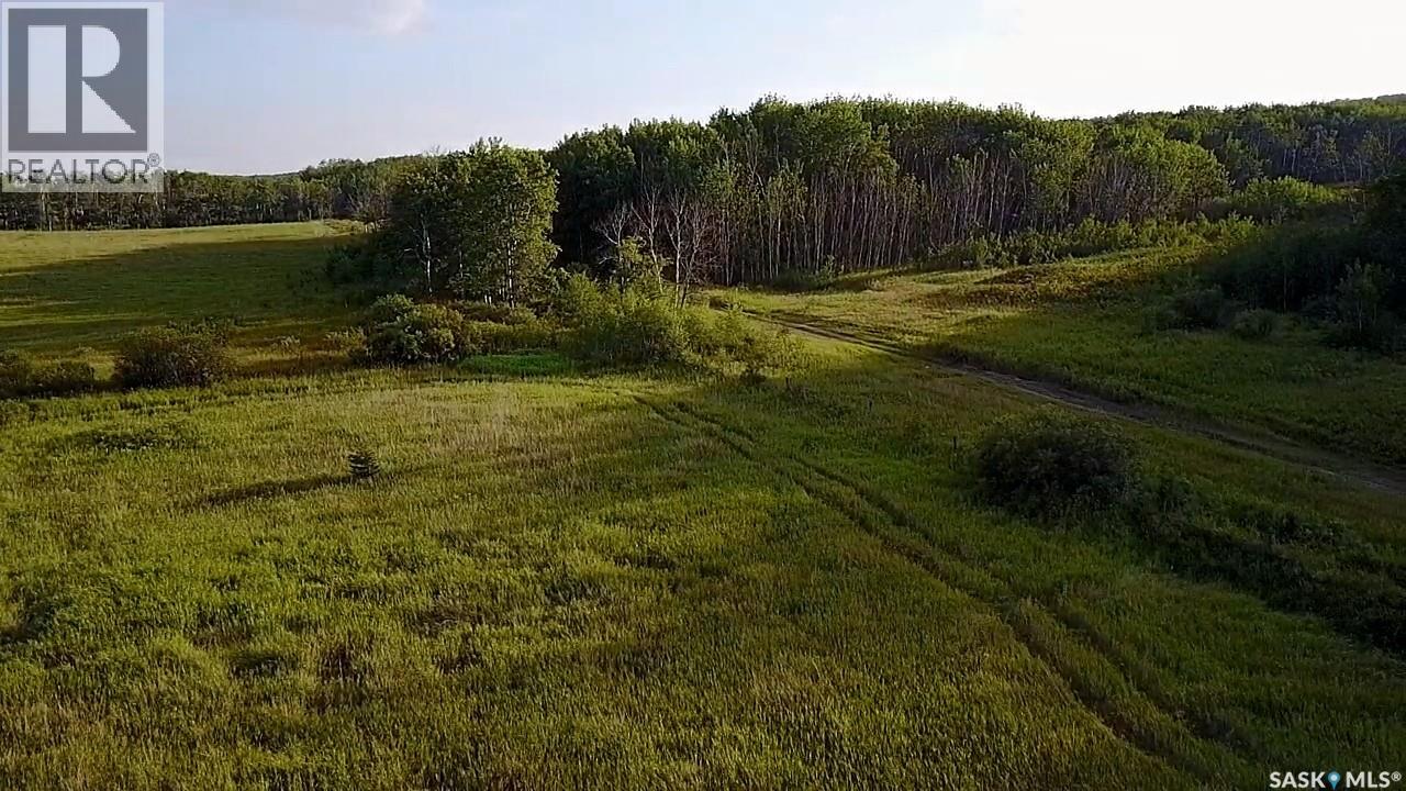 Bellows Recreation Property, Clayton Rm No. 333, Saskatchewan  S0A 2V0 - Photo 13 - SK016959