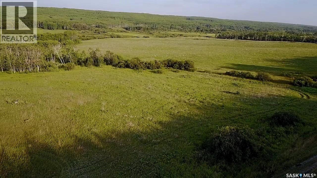 Bellows Recreation Property, Clayton Rm No. 333, Saskatchewan  S0A 2V0 - Photo 15 - SK016959