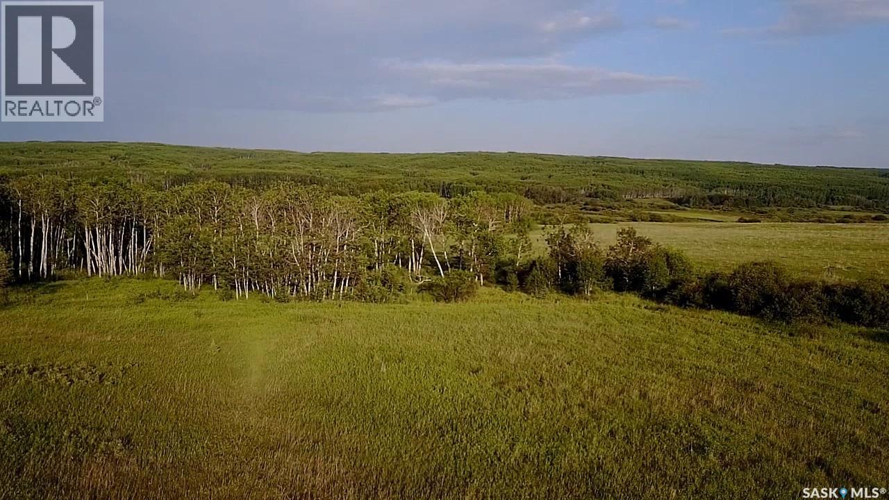 Bellows Recreation Property, Clayton Rm No. 333, Saskatchewan  S0A 2V0 - Photo 16 - SK016959