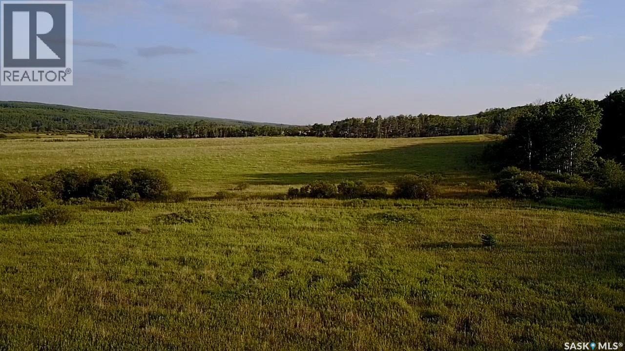 Bellows Recreation Property, Clayton Rm No. 333, Saskatchewan  S0A 2V0 - Photo 17 - SK016959