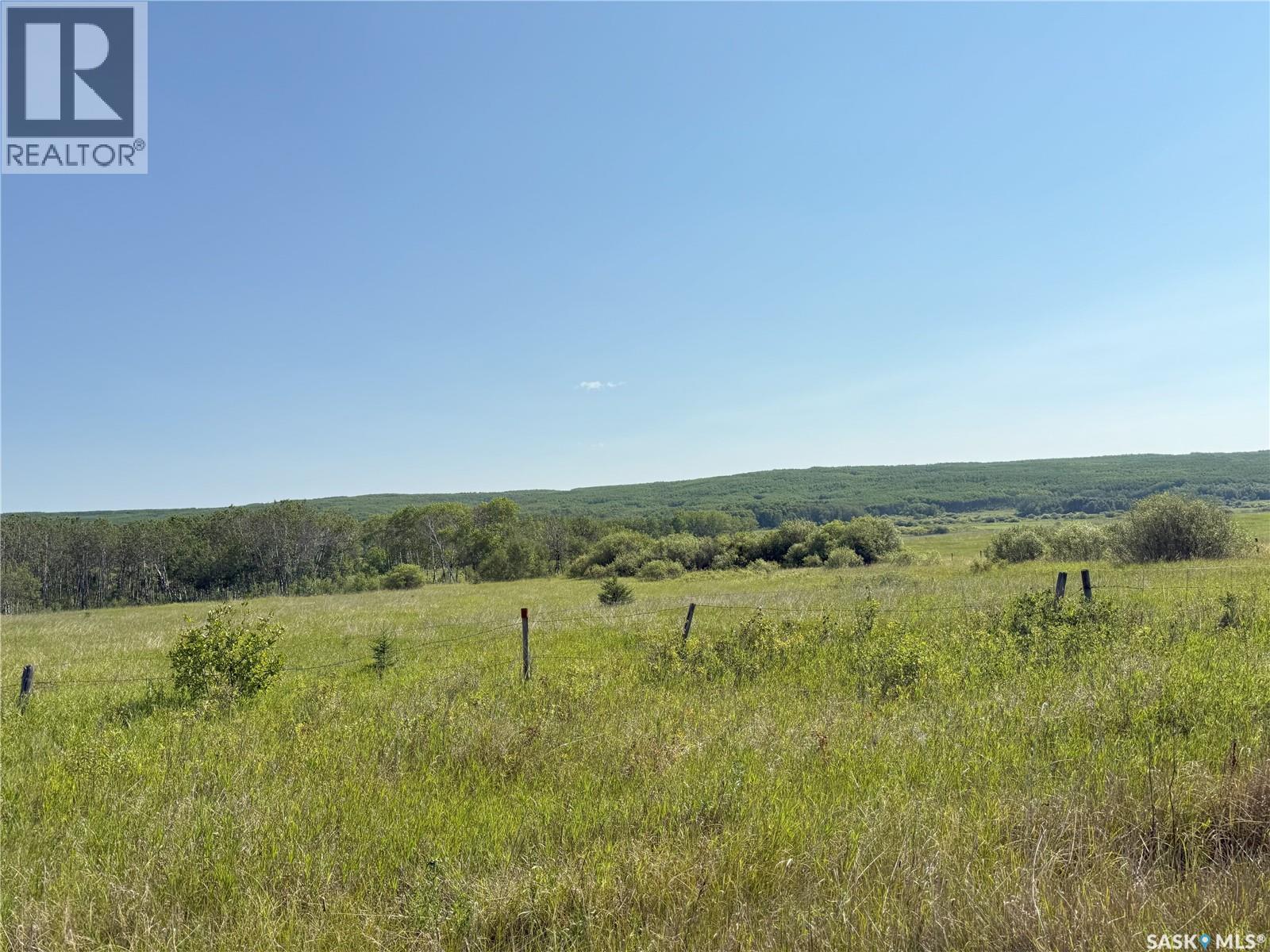 Bellows Recreation Property, Clayton Rm No. 333, Saskatchewan  S0A 2V0 - Photo 21 - SK016959
