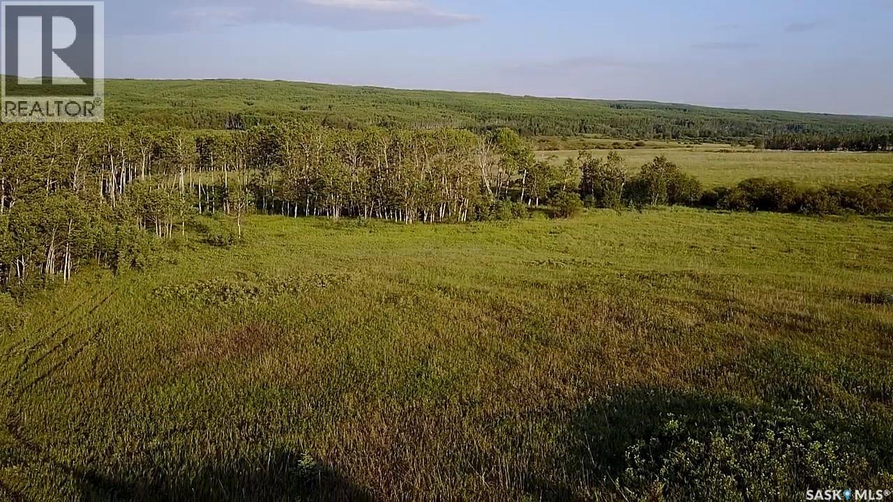 Bellows Recreation Property, Clayton Rm No. 333, Saskatchewan  S0A 2V0 - Photo 47 - SK016959