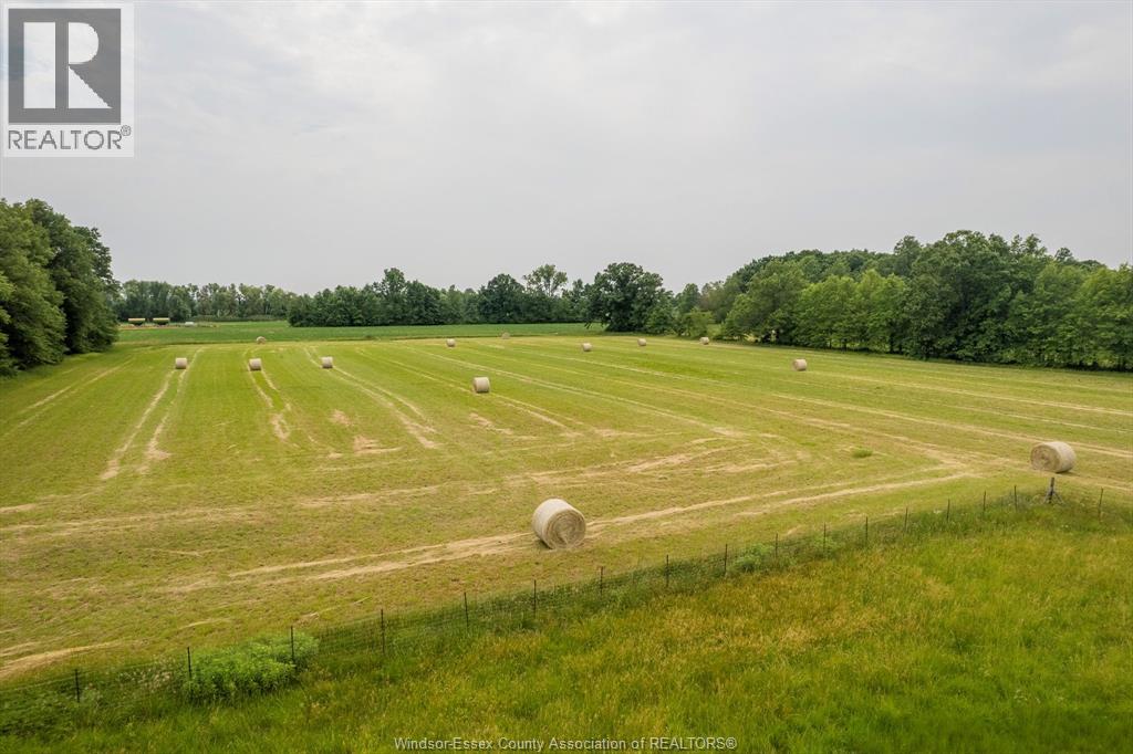 9067 Ferris Sideroad, Essex, Ontario  N8M 2X5 - Photo 46 - 25021818