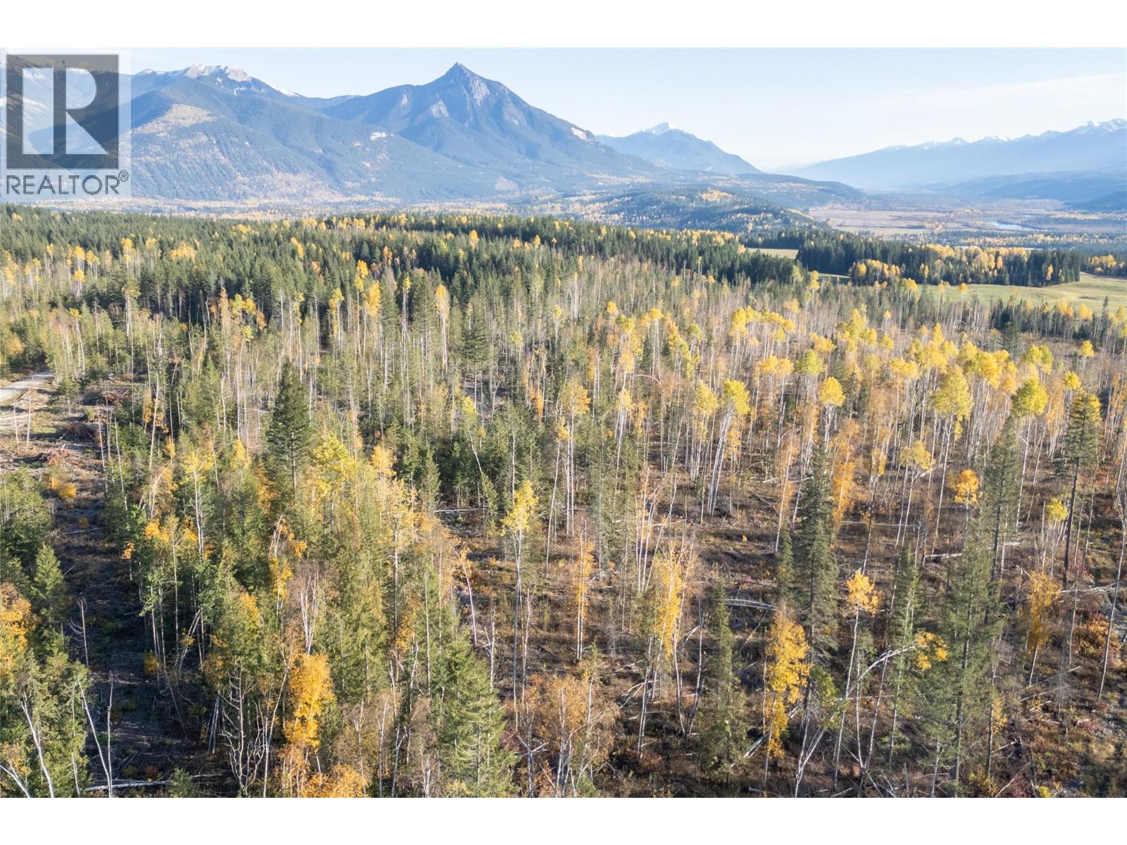 Lot 5 Golden Donald Upper Road, Golden, British Columbia  V0A 1H1 - Photo 19 - 10332466