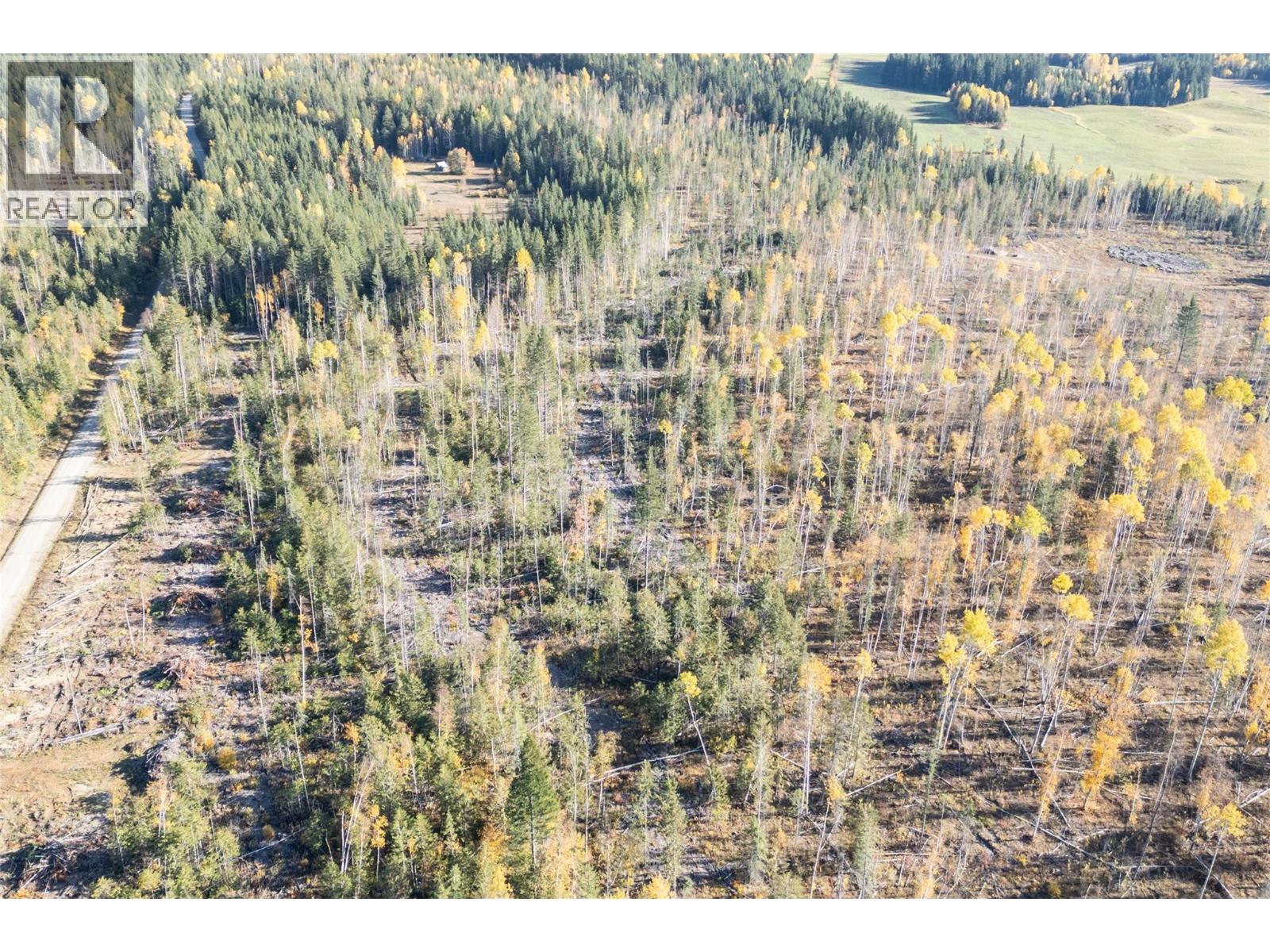 Lot 5 Golden Donald Upper Road, Golden, British Columbia  V0A 1H1 - Photo 5 - 10332466