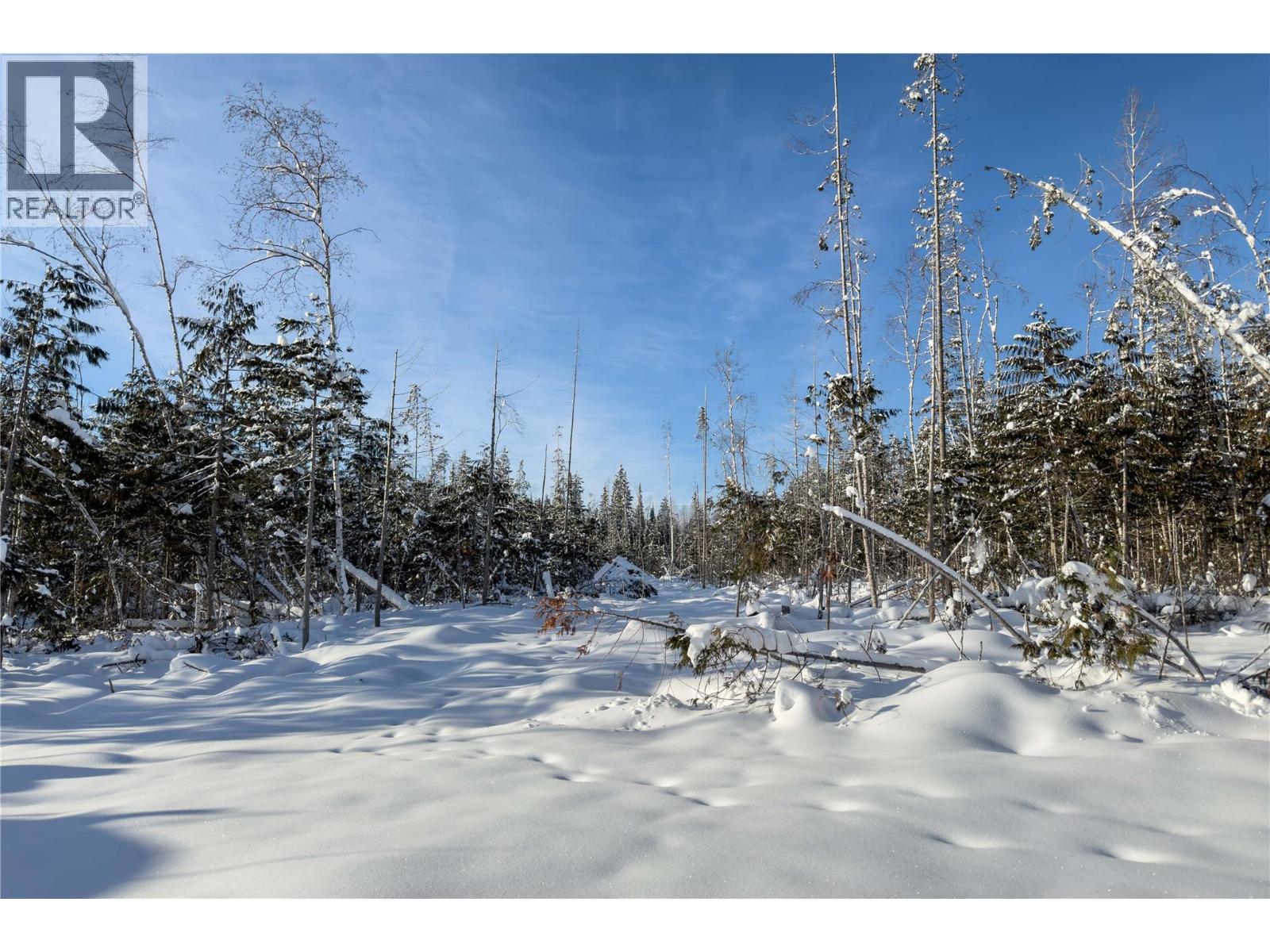 Lot 5 Golden Donald Upper Road, Golden, British Columbia  V0A 1H1 - Photo 14 - 10332466