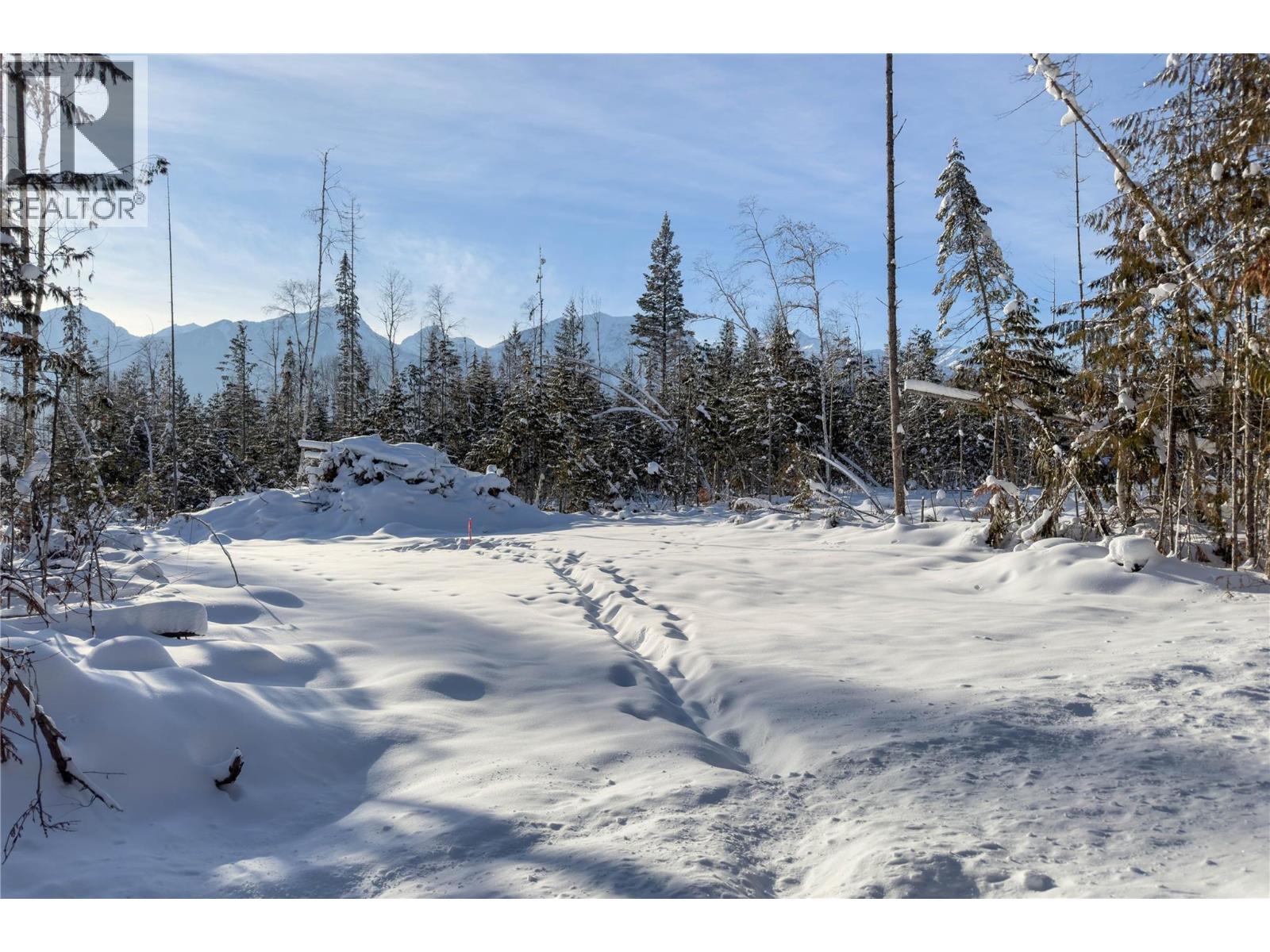 Lot 5 Golden Donald Upper Road, Golden, British Columbia  V0A 1H1 - Photo 13 - 10332466