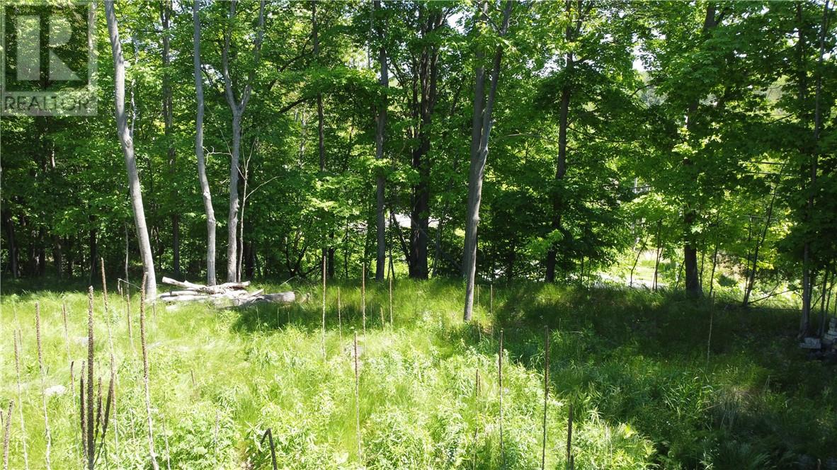 0 Doc Strain, Gore Bay, Ontario  P0P 1H0 - Photo 17 - 2124388