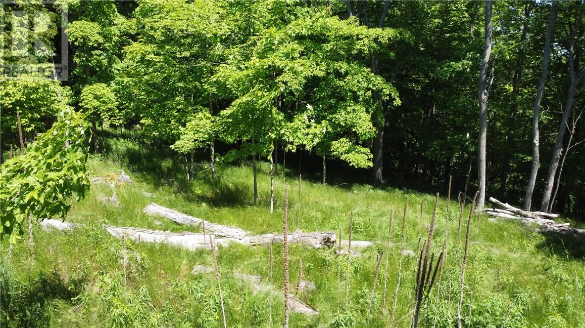 0 Doc Strain, Gore Bay, Ontario  P0P 1H0 - Photo 18 - 2124388