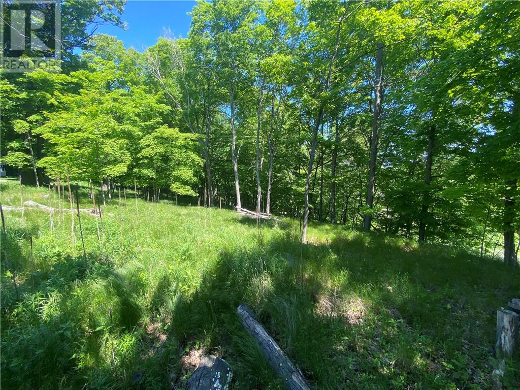 0 Doc Strain, Gore Bay, Ontario  P0P 1H0 - Photo 2 - 2124388