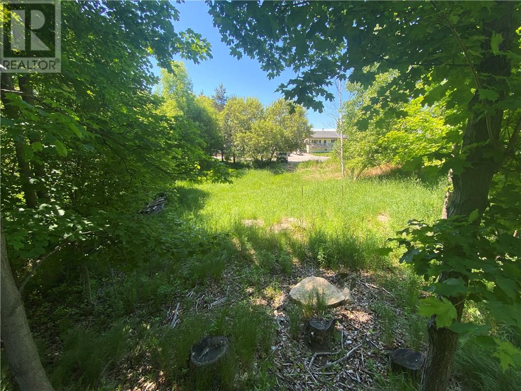 0 Doc Strain, Gore Bay, Ontario  P0P 1H0 - Photo 4 - 2124388
