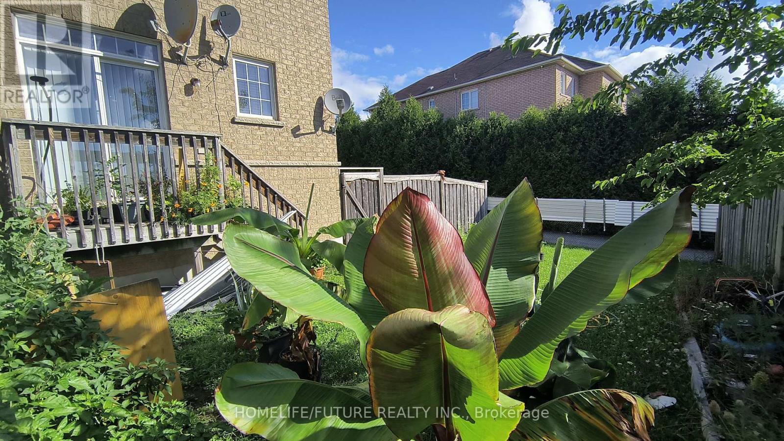 315 Elson Street, Markham, Ontario  L3S 4S4 - Photo 24 - N12366918