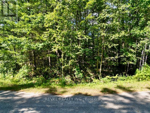 Lot 14 Pineshore Crescent, Tiny, Ontario  L0L 2T0 - Photo 2 - S12369873