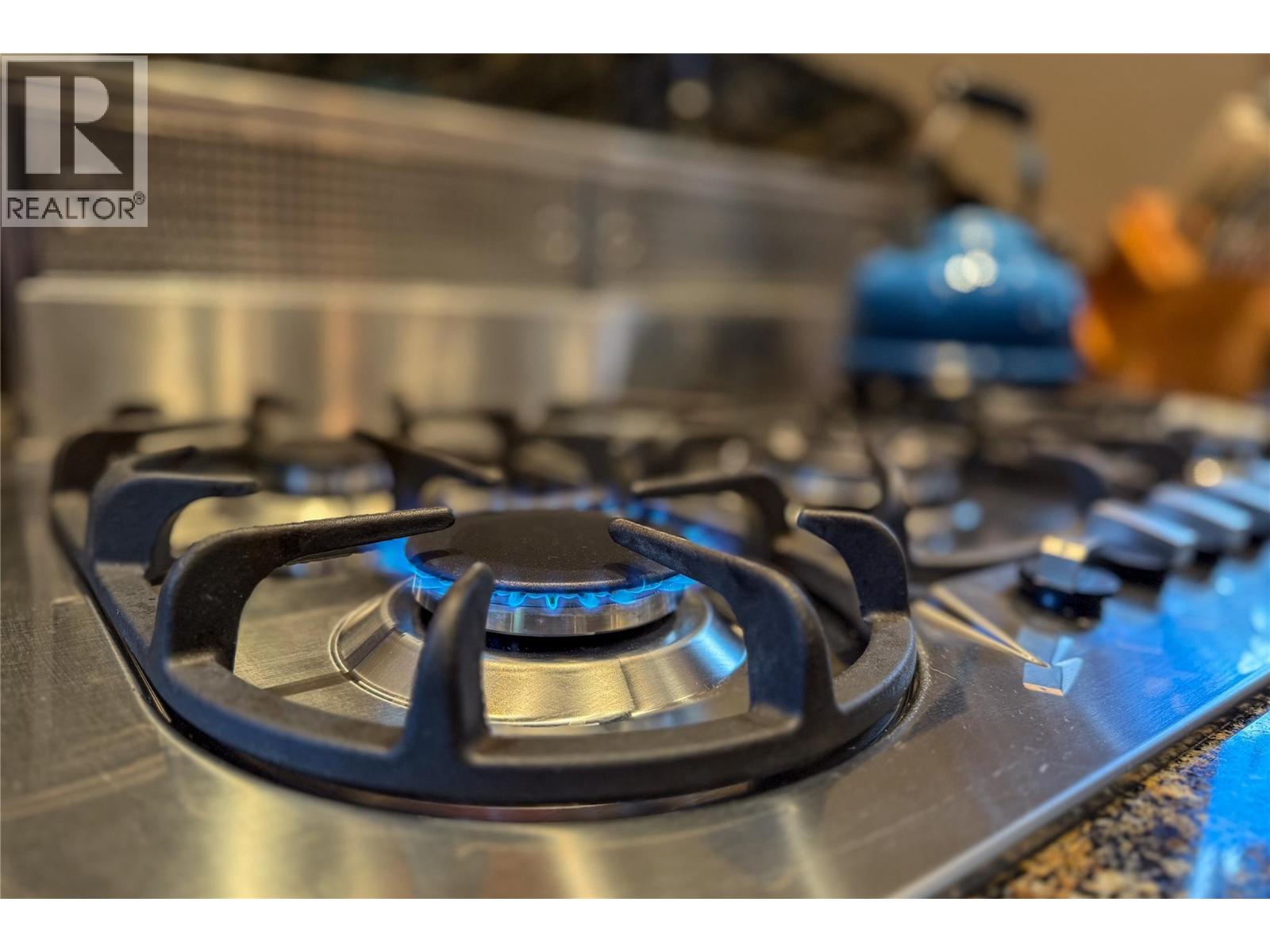 2480 Golden Donald Upper Road, Golden, British Columbia  V0A 1H1 - Photo 15 - 10360024