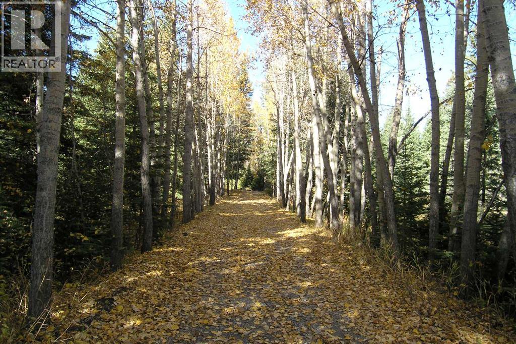 40018 Township Road 242, Rural Rocky View County, Alberta  T3Z 2Z1 - Photo 33 - A2249258