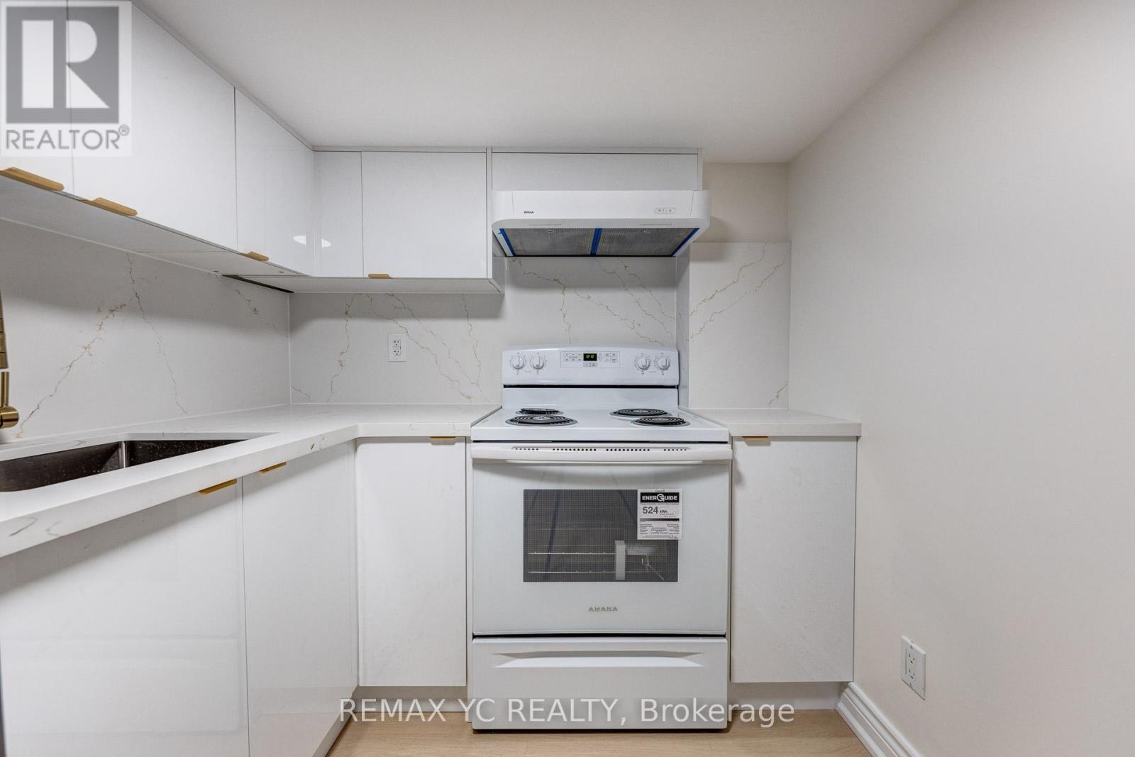 Bsmt - 131 Silver Linden Drive, Richmond Hill, Ontario  L4B 3T2 - Photo 9 - N12337975