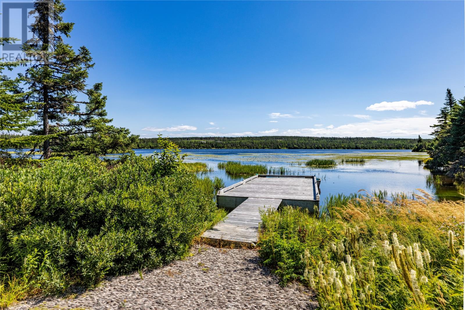 115 Western Island Pond Drive, Torbay, Newfoundland & Labrador  A1K 1M1 - Photo 37 - 1289569