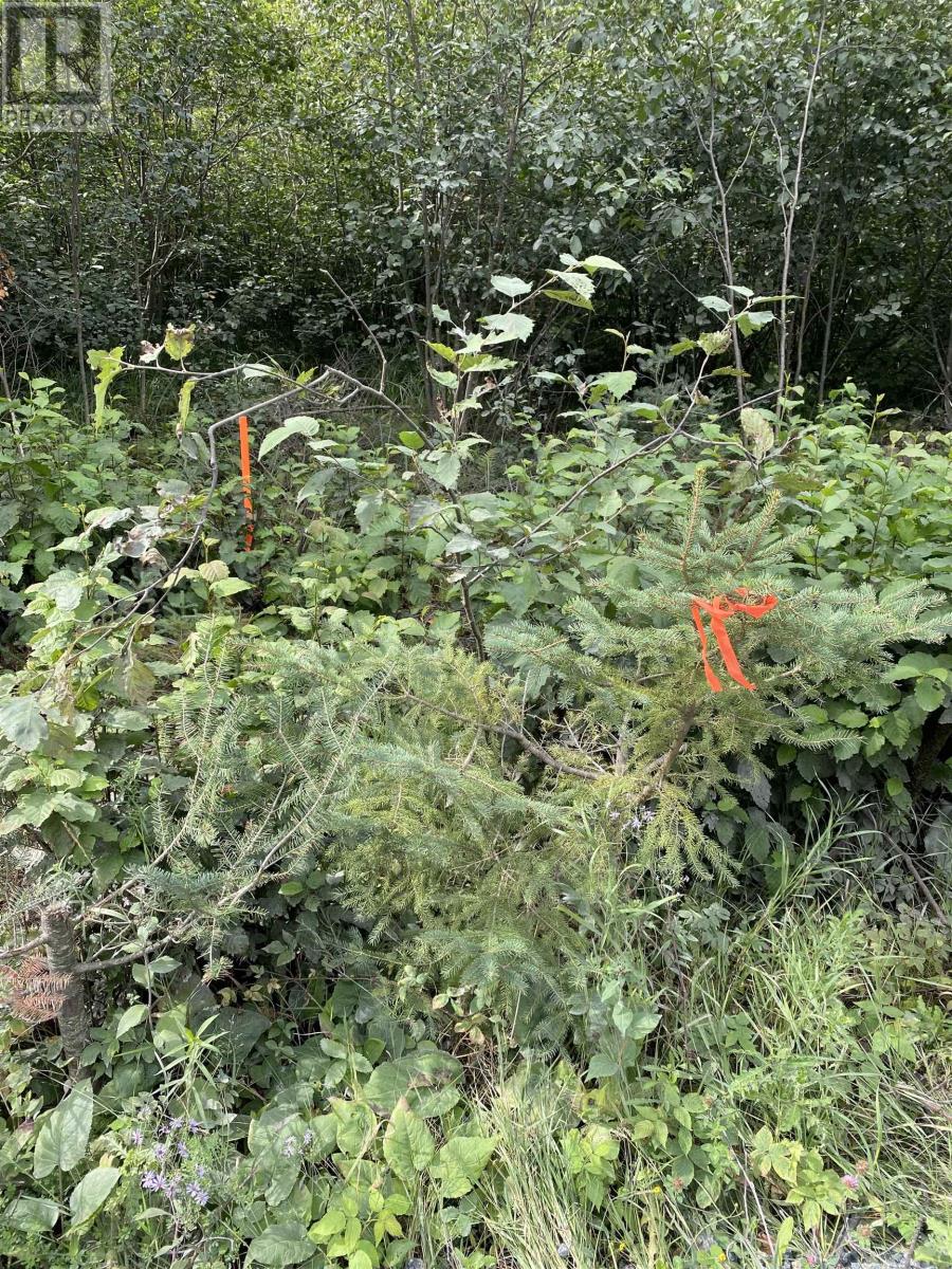 Lot 14 Jarnel Drive, Kenora, Ontario  P9N 0A9 - Photo 37 - TB252435