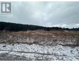6B Top Road, Branch, Newfoundland & Labrador