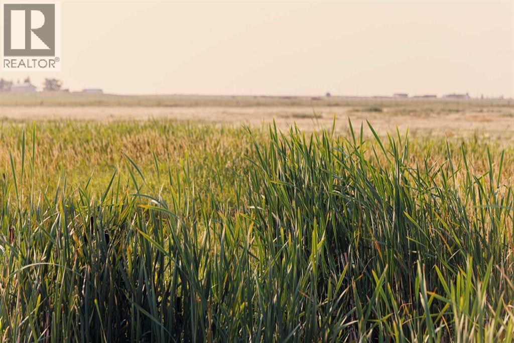 Parcel 9 Range Road 271 Just South Of Highway 9, Rural Rocky View County, Alberta  T0M 1G0 - Photo 11 - A2252287