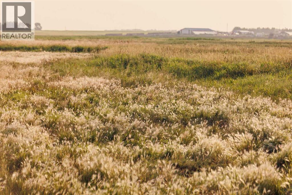 Parcel 9 Range Road 271 Just South Of Highway 9, Rural Rocky View County, Alberta  T0M 1G0 - Photo 12 - A2252287