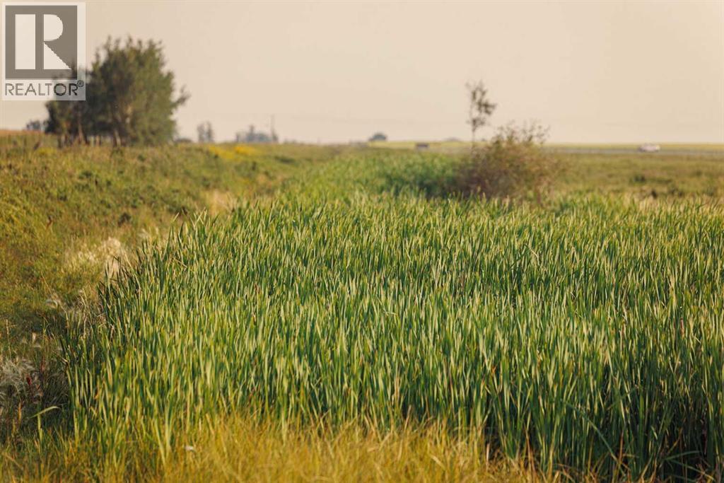 Parcel 9 Range Road 271 Just South Of Highway 9, Rural Rocky View County, Alberta  T0M 1G0 - Photo 13 - A2252287