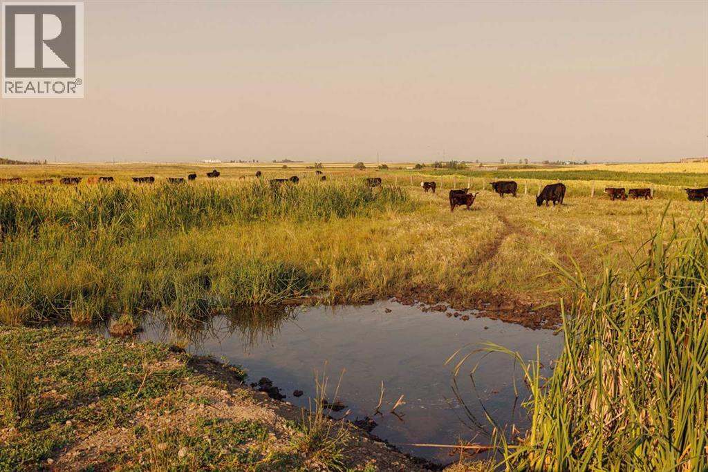 Parcel 9 Range Road 271 Just South Of Highway 9, Rural Rocky View County, Alberta  T0M 1G0 - Photo 4 - A2252287