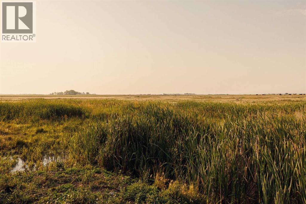 Parcel 9 Range Road 271 Just South Of Highway 9, Rural Rocky View County, Alberta  T0M 1G0 - Photo 5 - A2252287