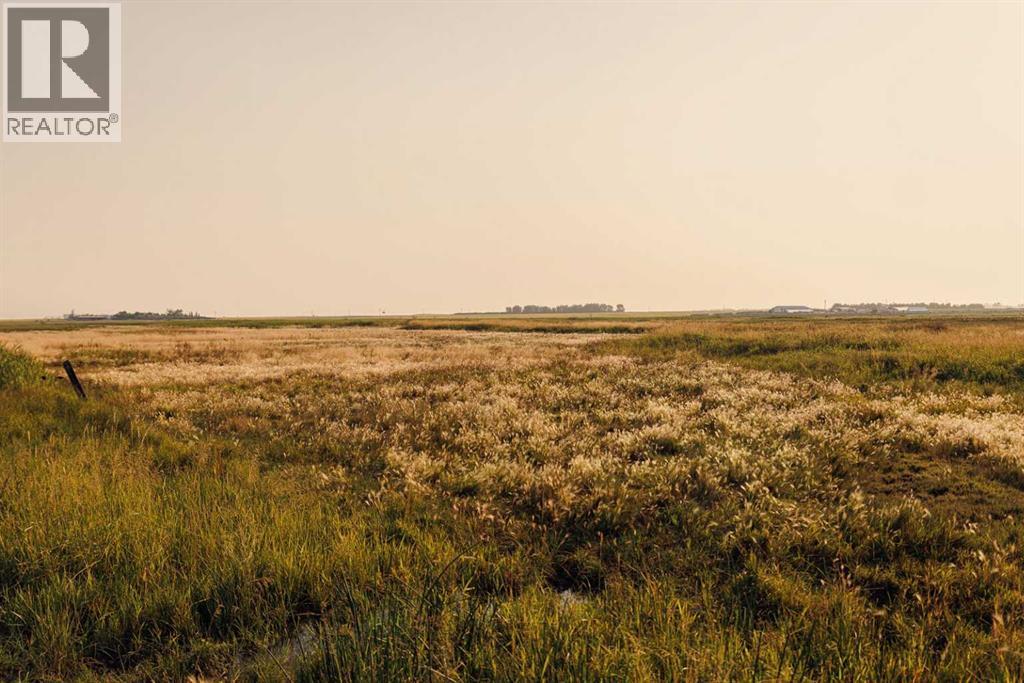 Parcel 9 Range Road 271 Just South Of Highway 9, Rural Rocky View County, Alberta  T0M 1G0 - Photo 6 - A2252287