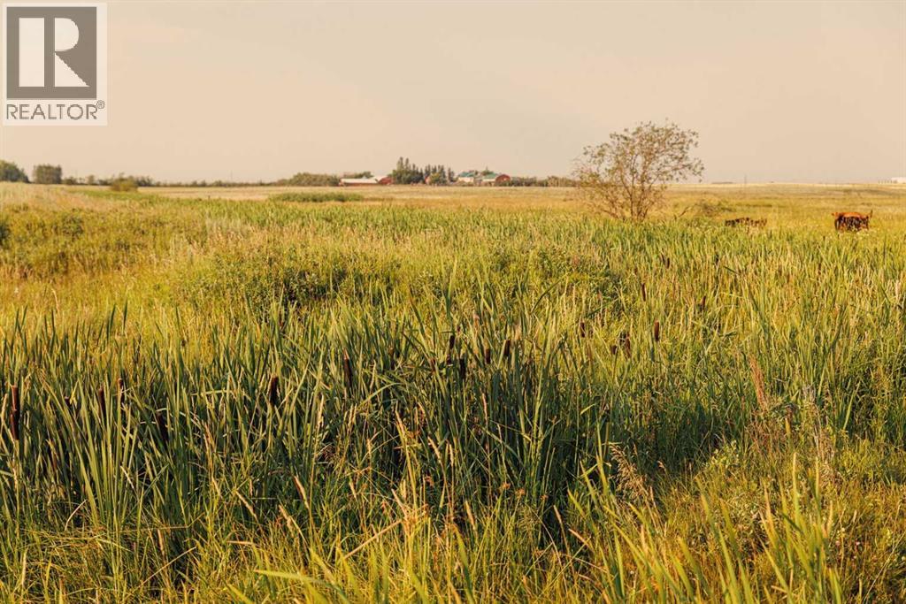 Parcel 9 Range Road 271 Just South Of Highway 9, Rural Rocky View County, Alberta  T0M 1G0 - Photo 7 - A2252287