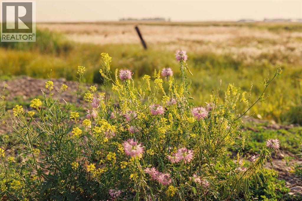 Parcel 9 Range Road 271 Just South Of Highway 9, Rural Rocky View County, Alberta  T0M 1G0 - Photo 8 - A2252287