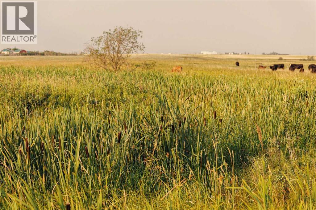 Parcel 9 Range Road 271 Just South Of Highway 9, Rural Rocky View County, Alberta  T0M 1G0 - Photo 9 - A2252287