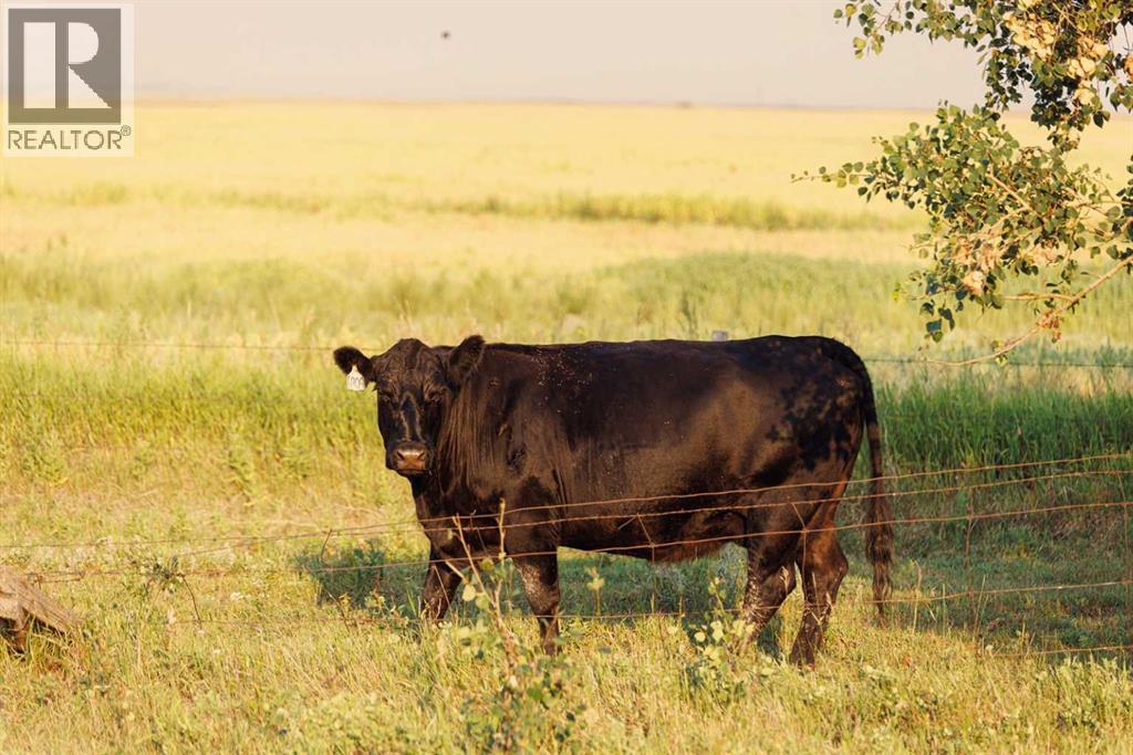 Parcel 7 Range Road 271 Just South Of Highway 9., Rural Rocky View County, Alberta  T0M 1G0 - Photo 1 - A2252297
