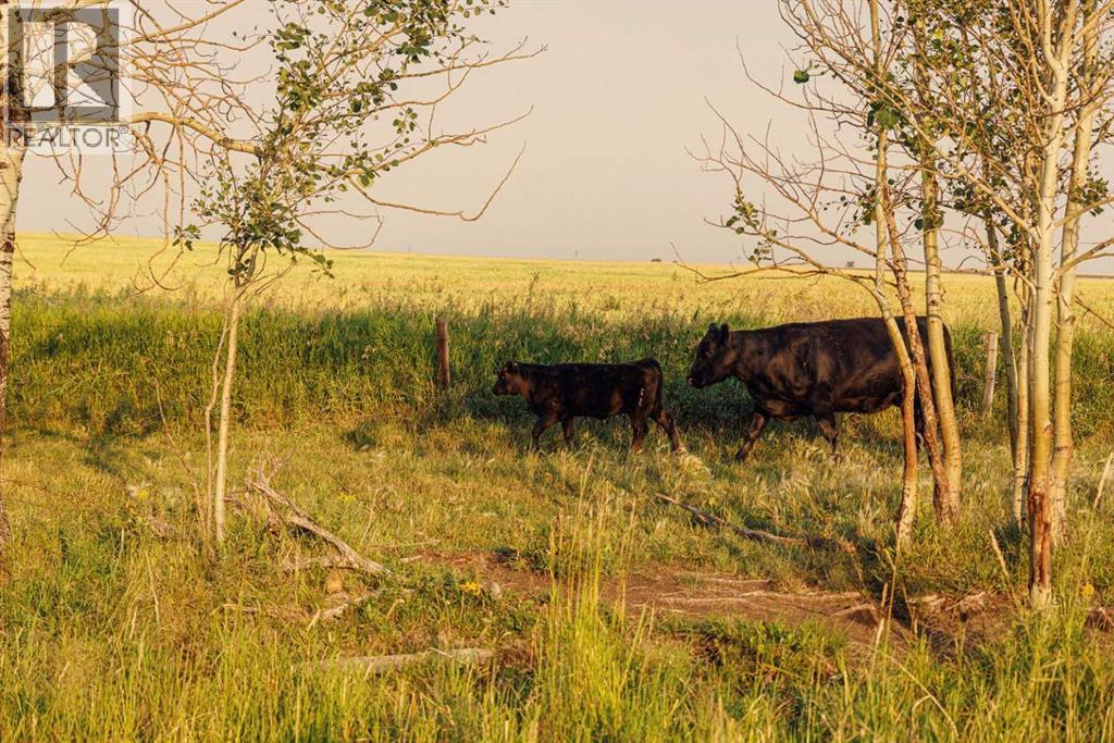 Parcel 7 Range Road 271 Just South Of Highway 9., Rural Rocky View County, Alberta  T0M 1G0 - Photo 2 - A2252297
