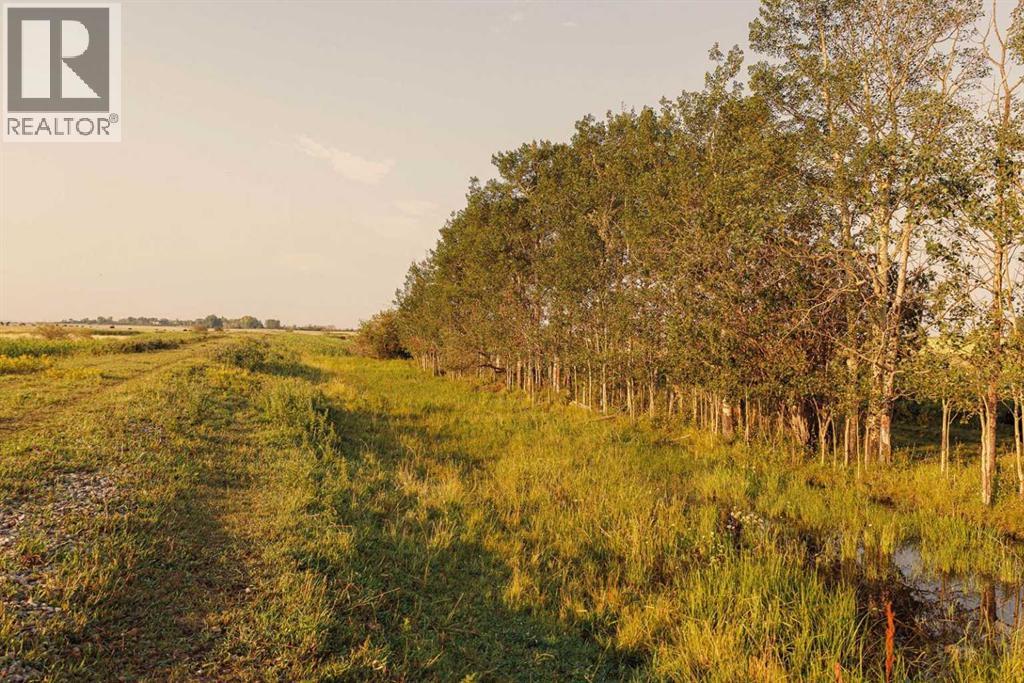 Parcel 7 Range Road 271 Just South Of Highway 9., Rural Rocky View County, Alberta  T0M 1G0 - Photo 3 - A2252297