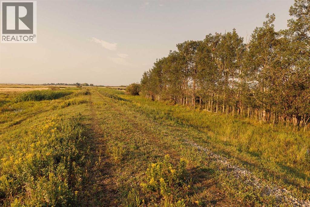 Parcel 7 Range Road 271 Just South Of Highway 9., Rural Rocky View County, Alberta  T0M 1G0 - Photo 4 - A2252297