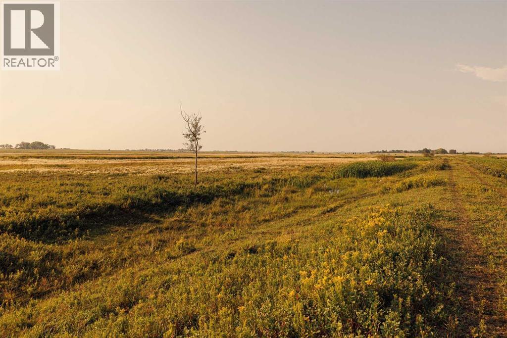 Parcel 7 Range Road 271 Just South Of Highway 9., Rural Rocky View County, Alberta  T0M 1G0 - Photo 5 - A2252297