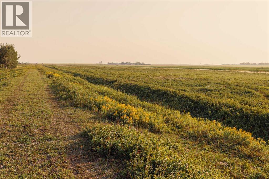 Parcel 7 Range Road 271 Just South Of Highway 9., Rural Rocky View County, Alberta  T0M 1G0 - Photo 6 - A2252297