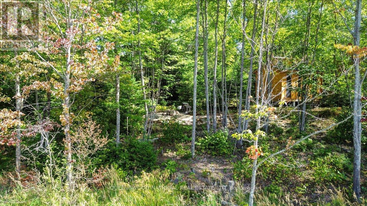 560 Mask Road W, Killaloe, Ontario  K0J 2A0 - Photo 28 - X12370451