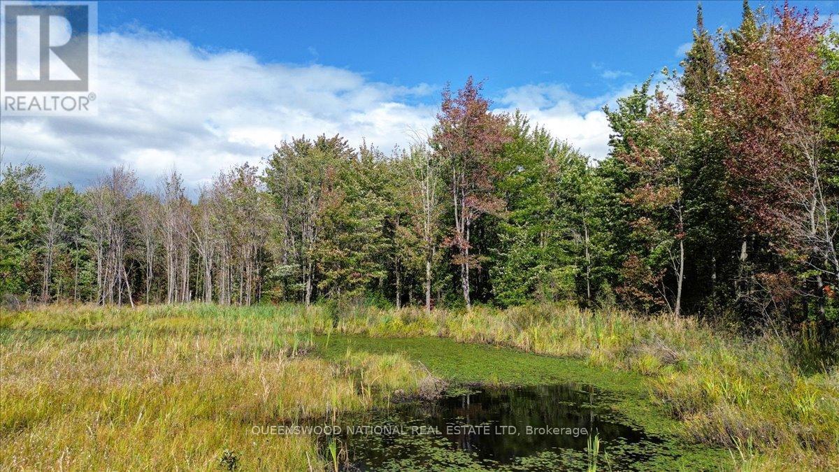 560 Mask Road W, Killaloe, Ontario  K0J 2A0 - Photo 41 - X12370451